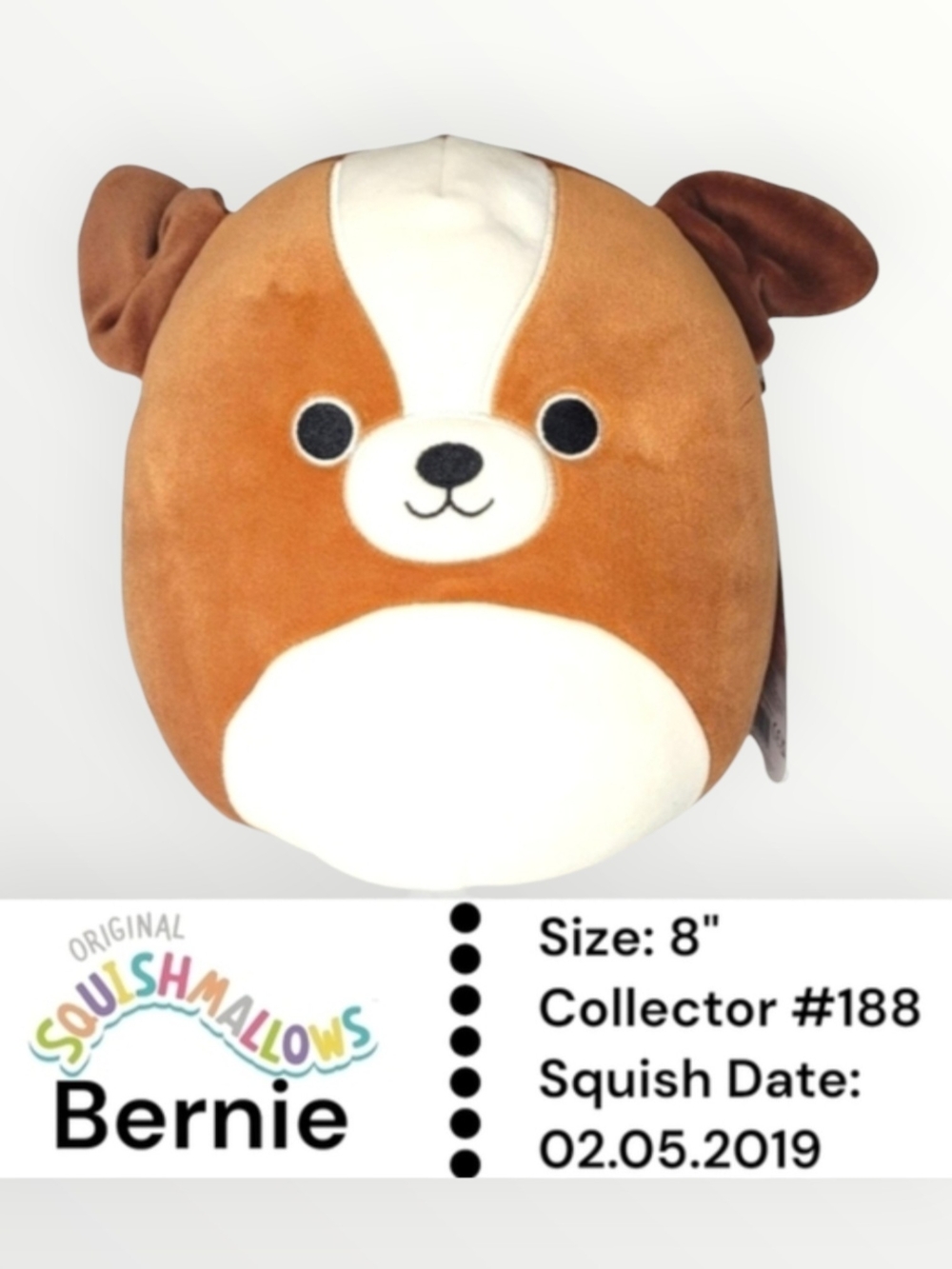 Squishmallow Bernie St Bernard Plush - Brown & White 8 IN